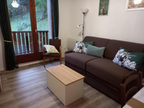 Petit nid douillet , T1 avec cuisine indépendante, au calme, proche centre ville Bagnères-De-Luchon
